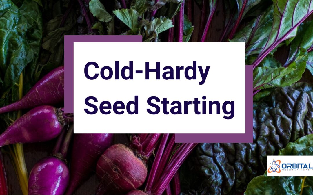 Cold Hardy Seed Starting