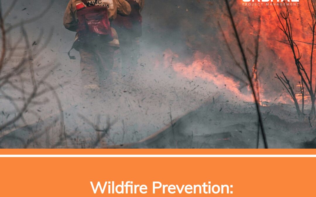 Wildfire Prevention: Essential Tips for Everyone